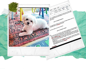 opiniones ME-Mentoring